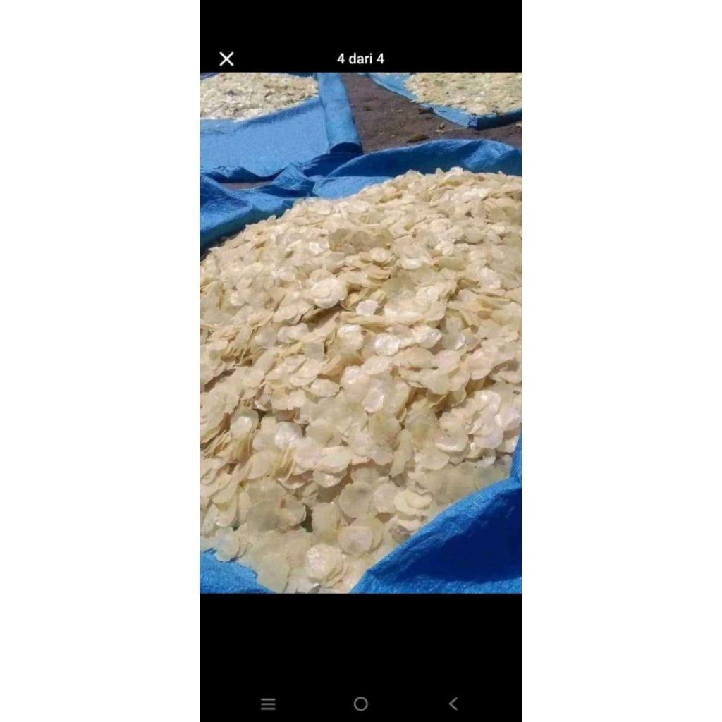 

emping melinjo harga 1kg