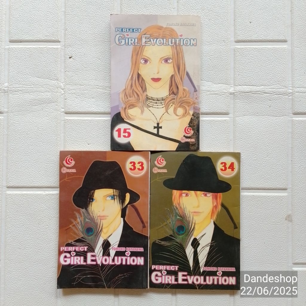Perfect Girl Evolution by Tomoko Hayakawa - Komik Original Bekas Cabutan Level Comics