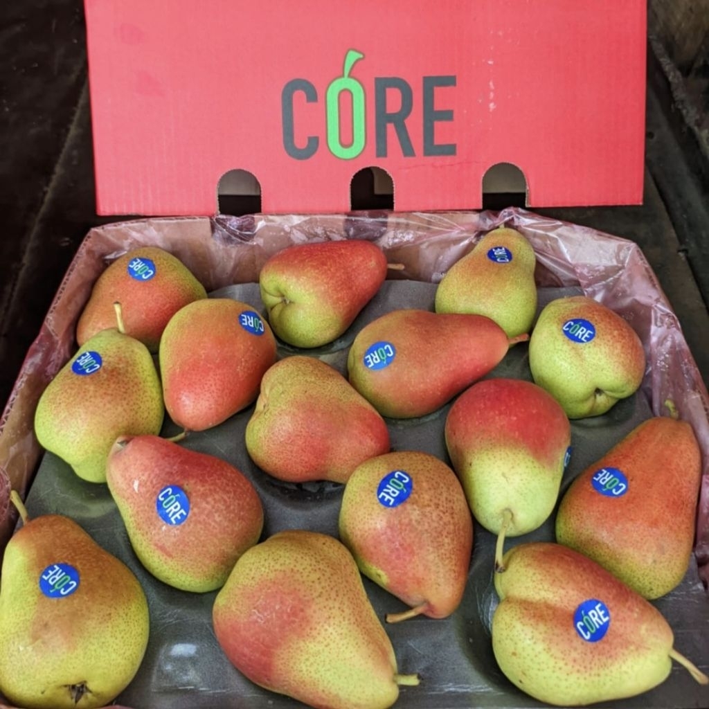 

Pear Forelli (Blush Pears) ± 500g pir foreli