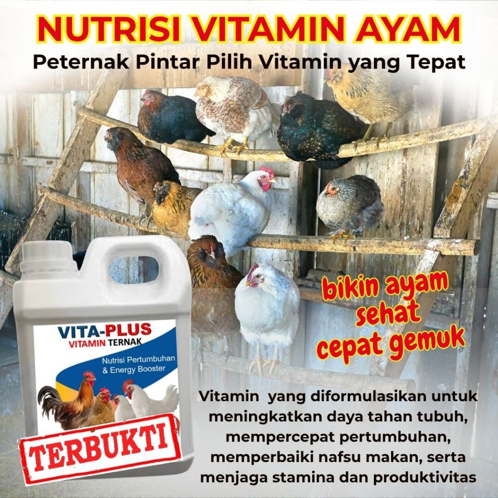 Vitamin Ayam Kampung Penggemuk Penambah Nafsu Makan Anak Ayam Cepat besar