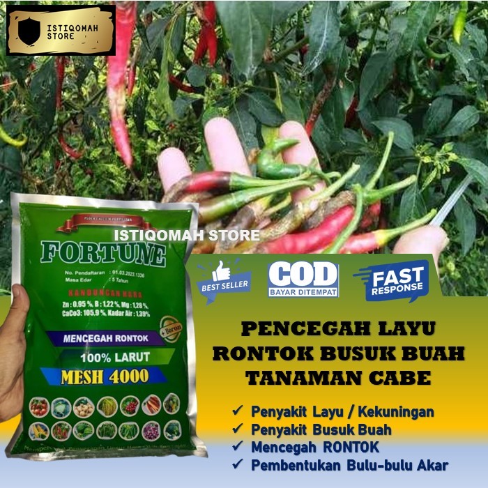 Pupuk Kalsium FORTUNE 1 KG Pupuk Pencegah Rontok Buah Cabe Cabai Ampuh - Obat Pencegah Rontok Buah C