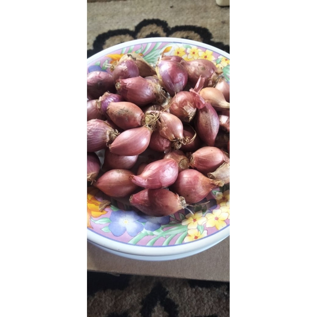 

Bawang Merah Garut Ukuran Sedang 500 gram Bamer Asli Garut