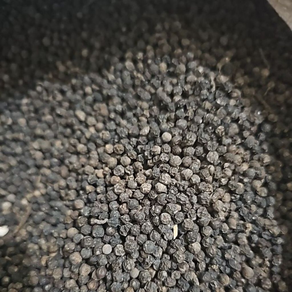 

KEMASAN EKONOMIS LADA HITAM KASAR KERING. LADA HITAM REMPAH , BLACK PEPPER , REMPAH
