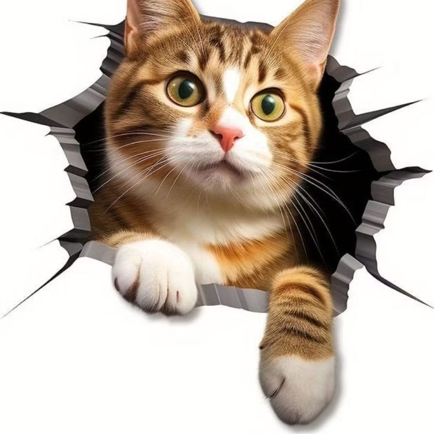 

stiker 3D kucing lucu, stiker print sudah cutting, size 15 x 20 cm, anti air