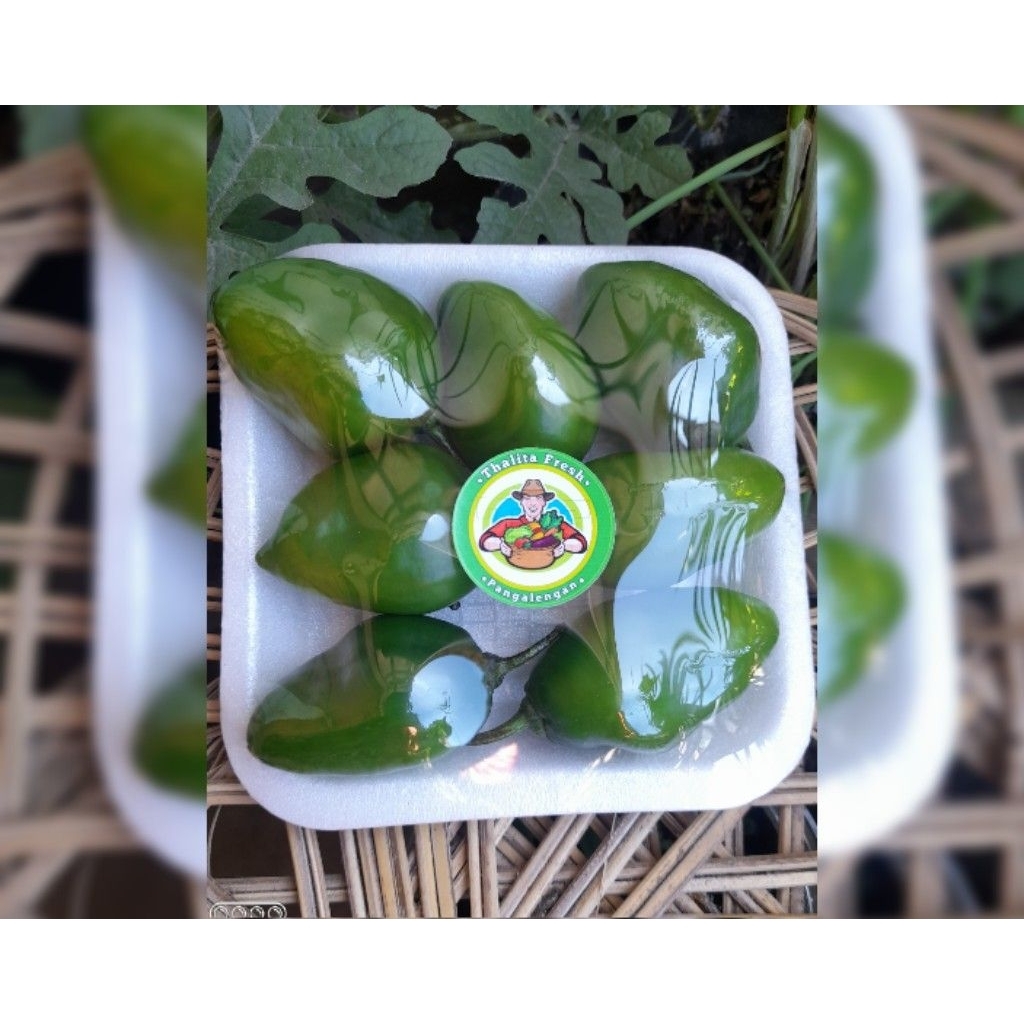 

Cabe gendot / cabai gendot 100 gram