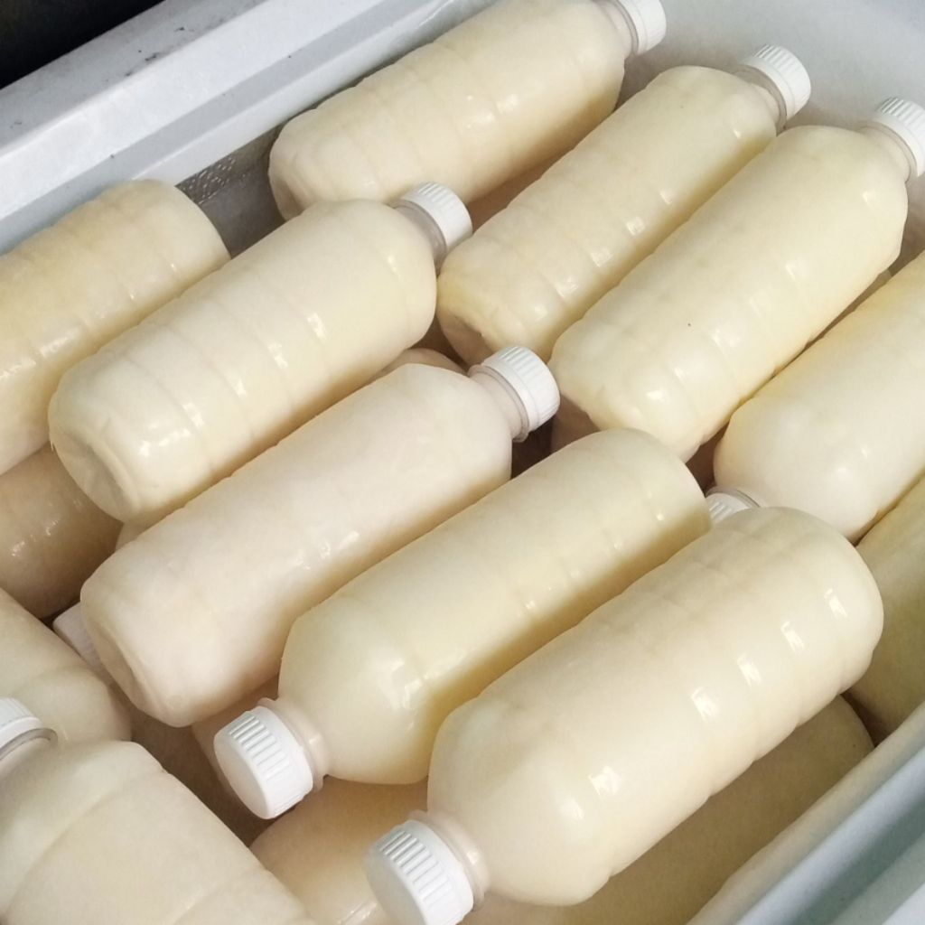 

Susu murni pasteurisasi PO 500ml