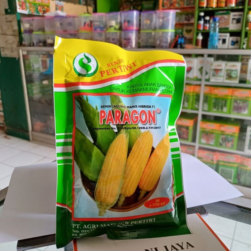 PROMO Benih Jagung Manis Hibrida PARAGON