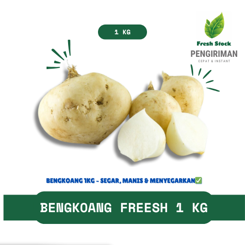 

BENGKOANG FRESH 1 KG | FreshStock