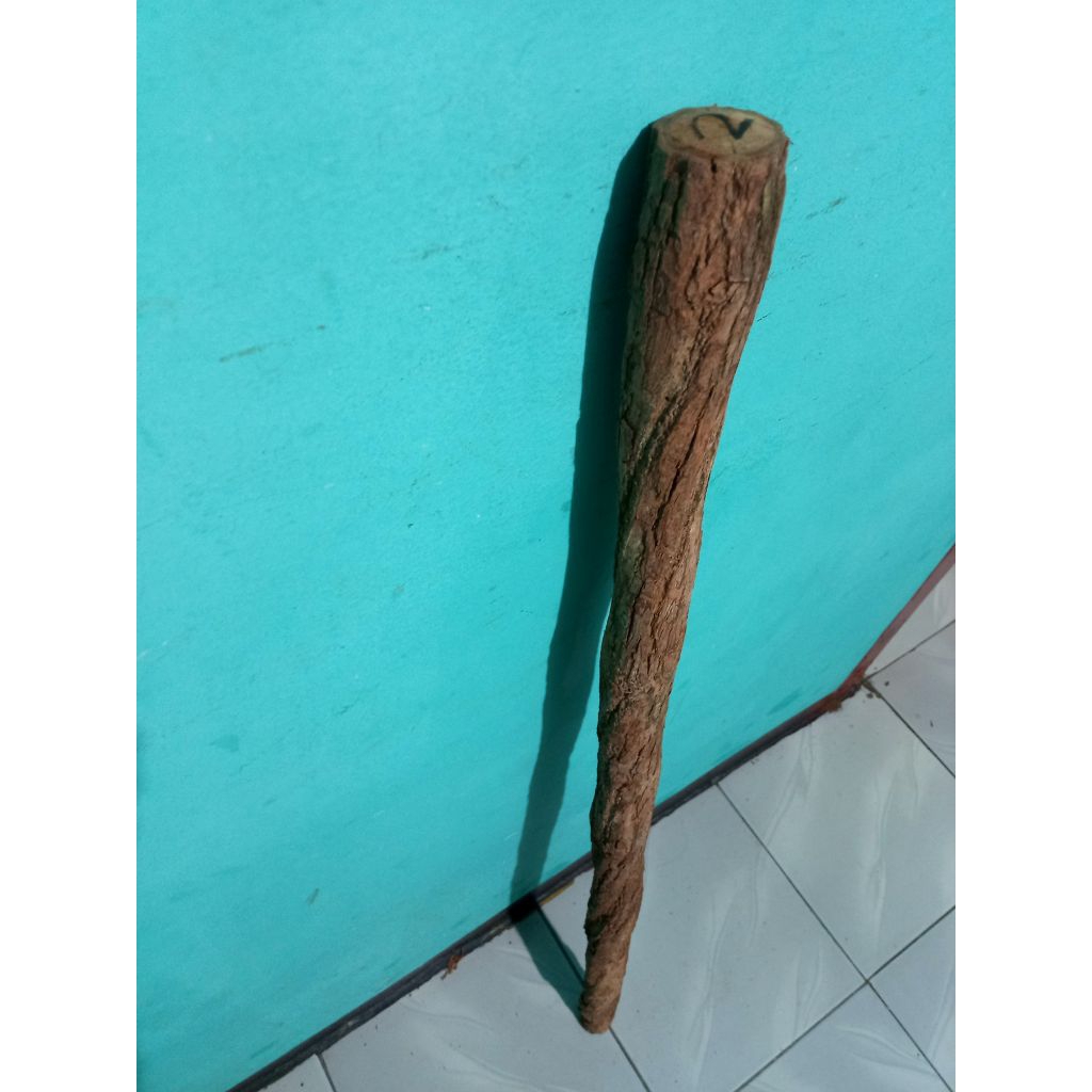 tongkat kayu sentigi dan kayu koneng alat bantu jalan asli alami alam