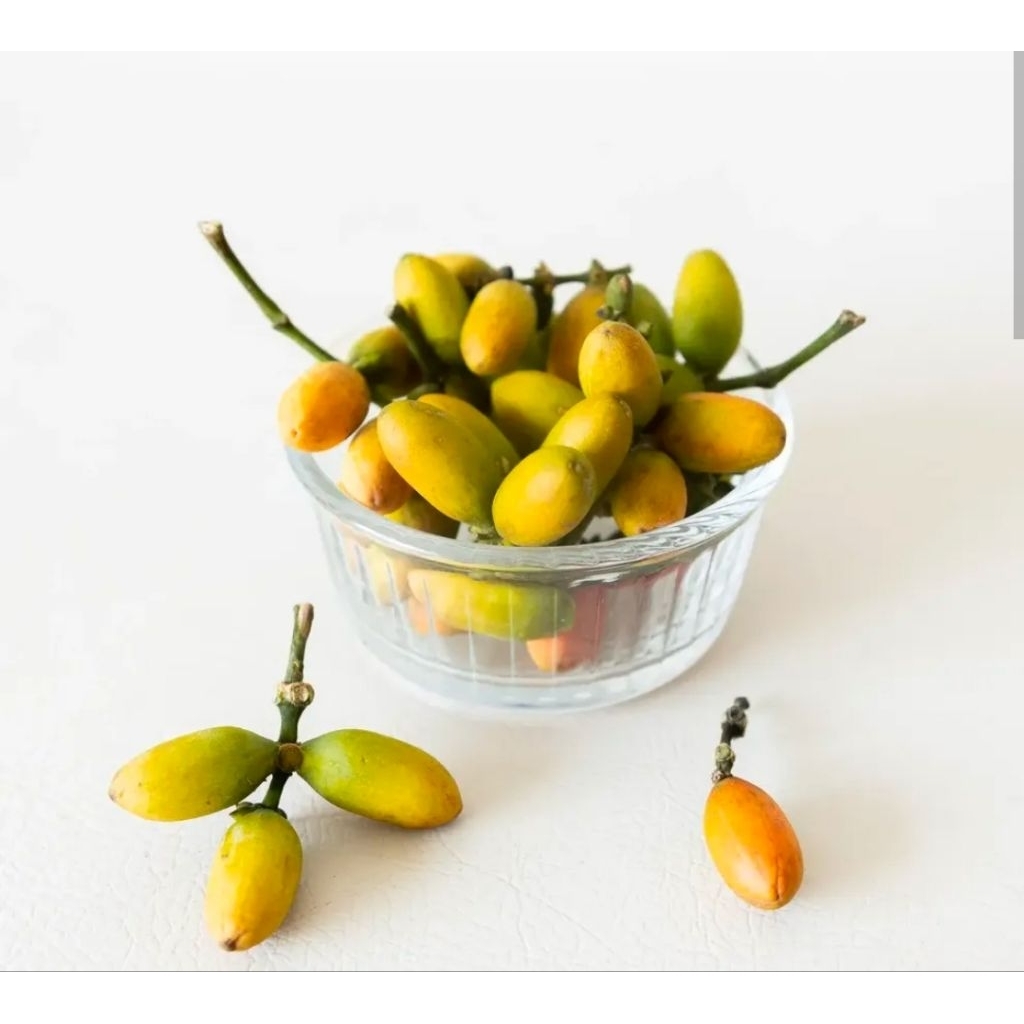 

sayur biji MELINJO || 250 gr || dapur fresh