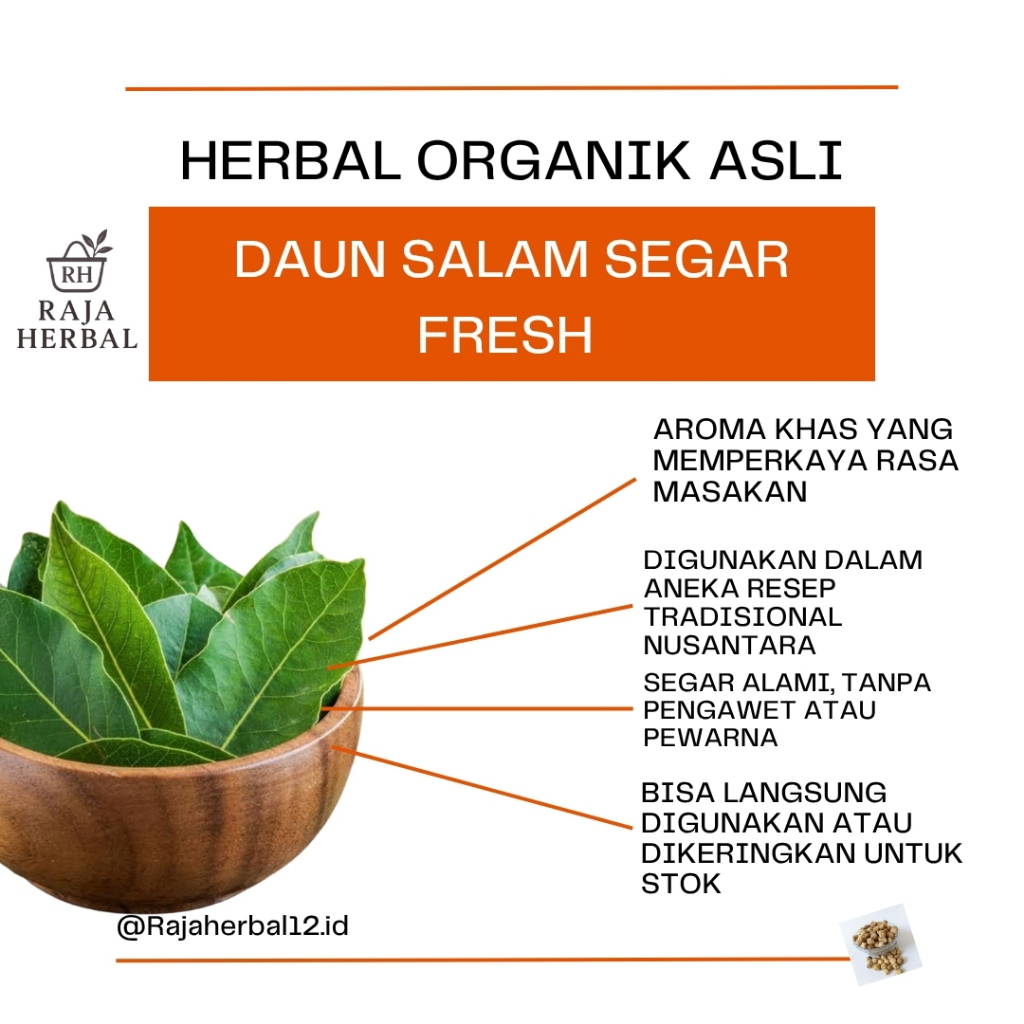 

daun salam segar 500gram (dapat tambahan bonus)