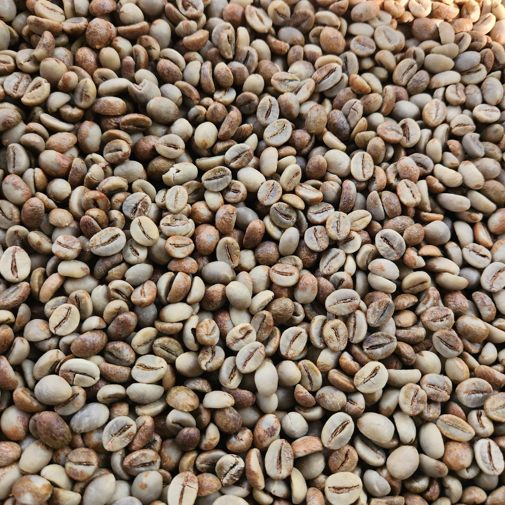 

Green Bean Robusta Petik Merah 1kg Kopi Kuningan