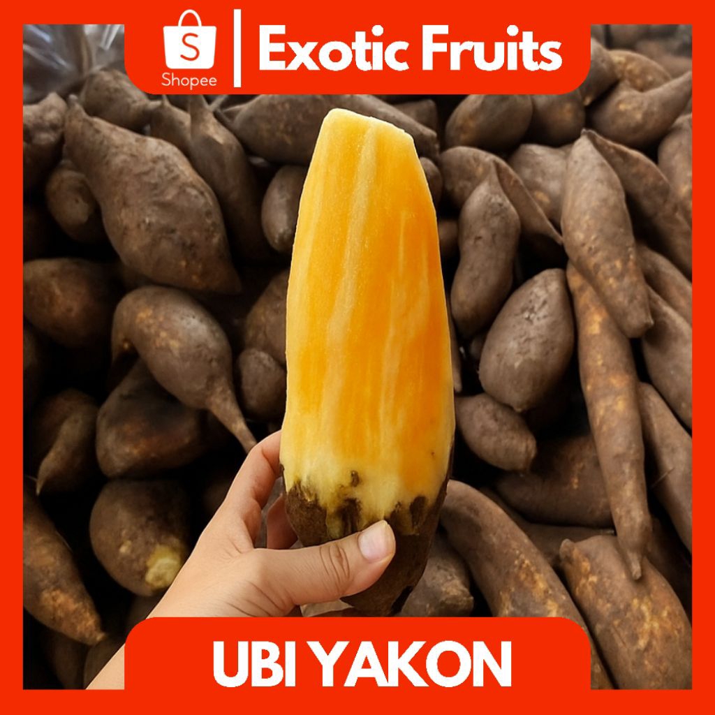 

Ubi Yakon Wonosobo