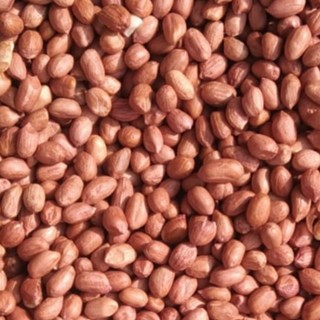 

Kacang Tanah Mentah 1kg