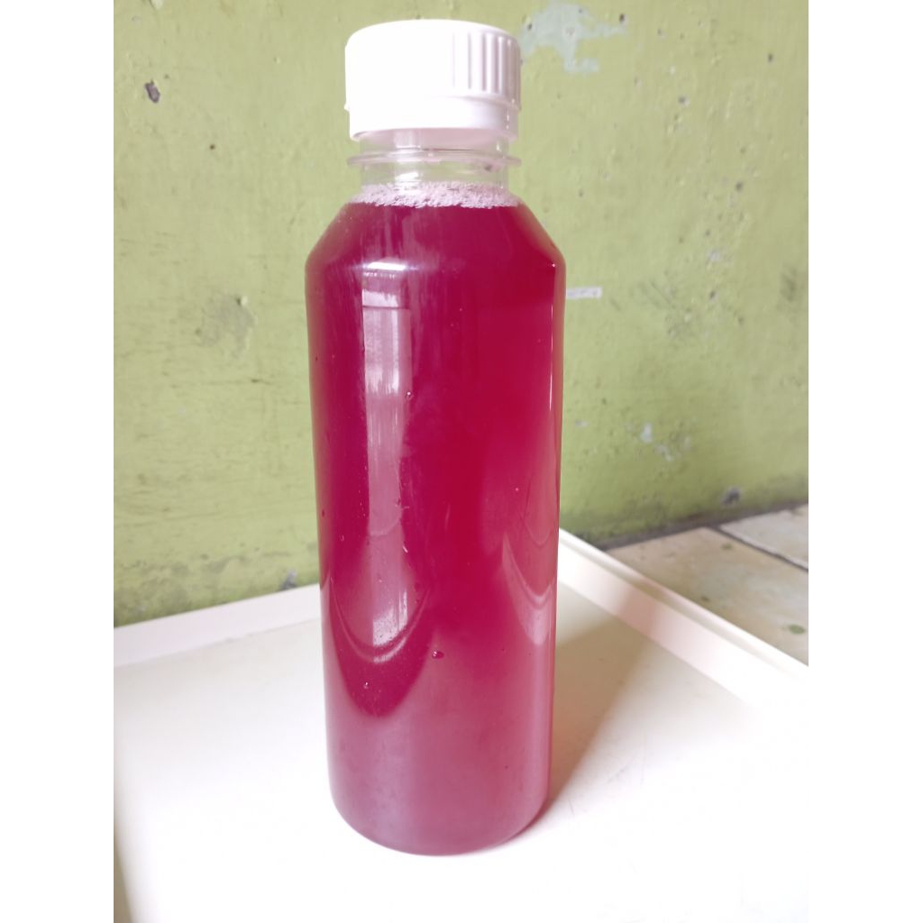 

kombucha probiotic siap minum 250ml variant butterfly pea (bunga Telang) & mint