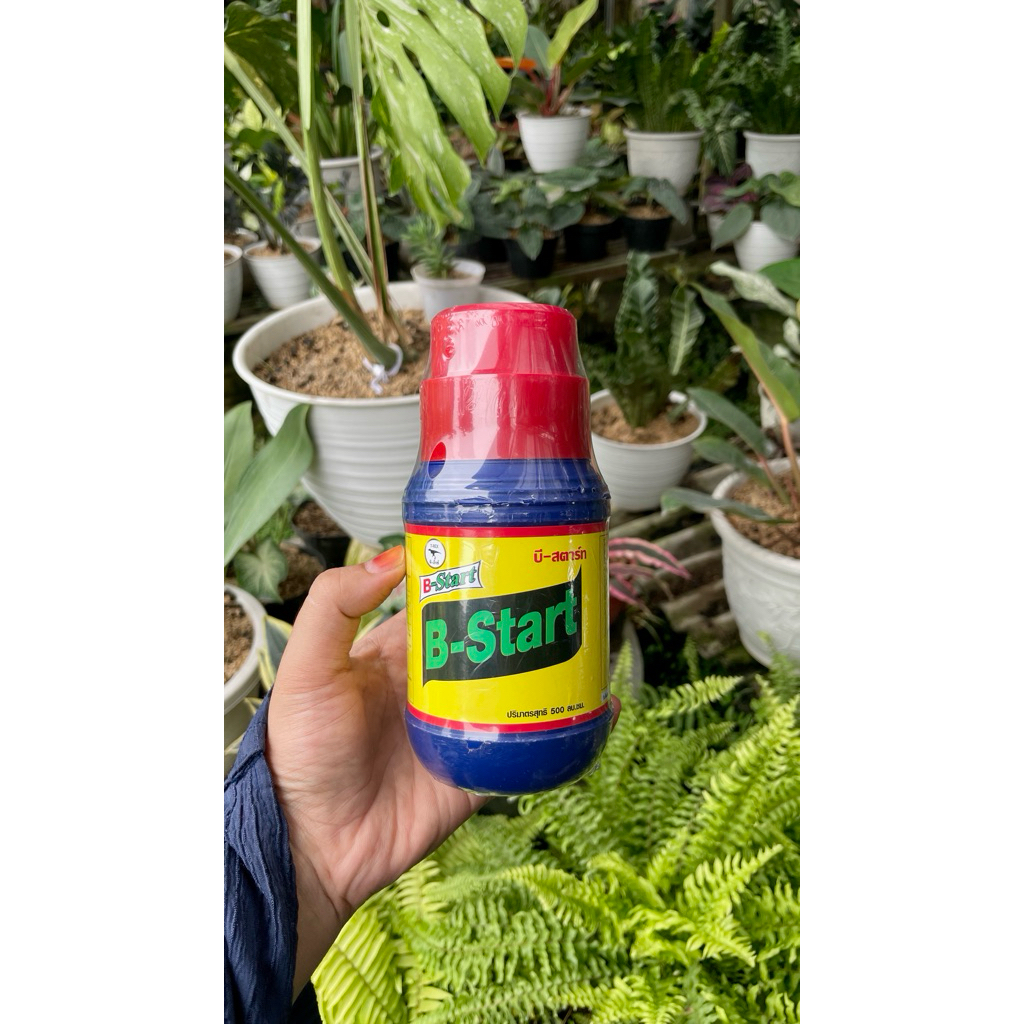 Vitamin B1 Thailand 500 mL ORIGINAL