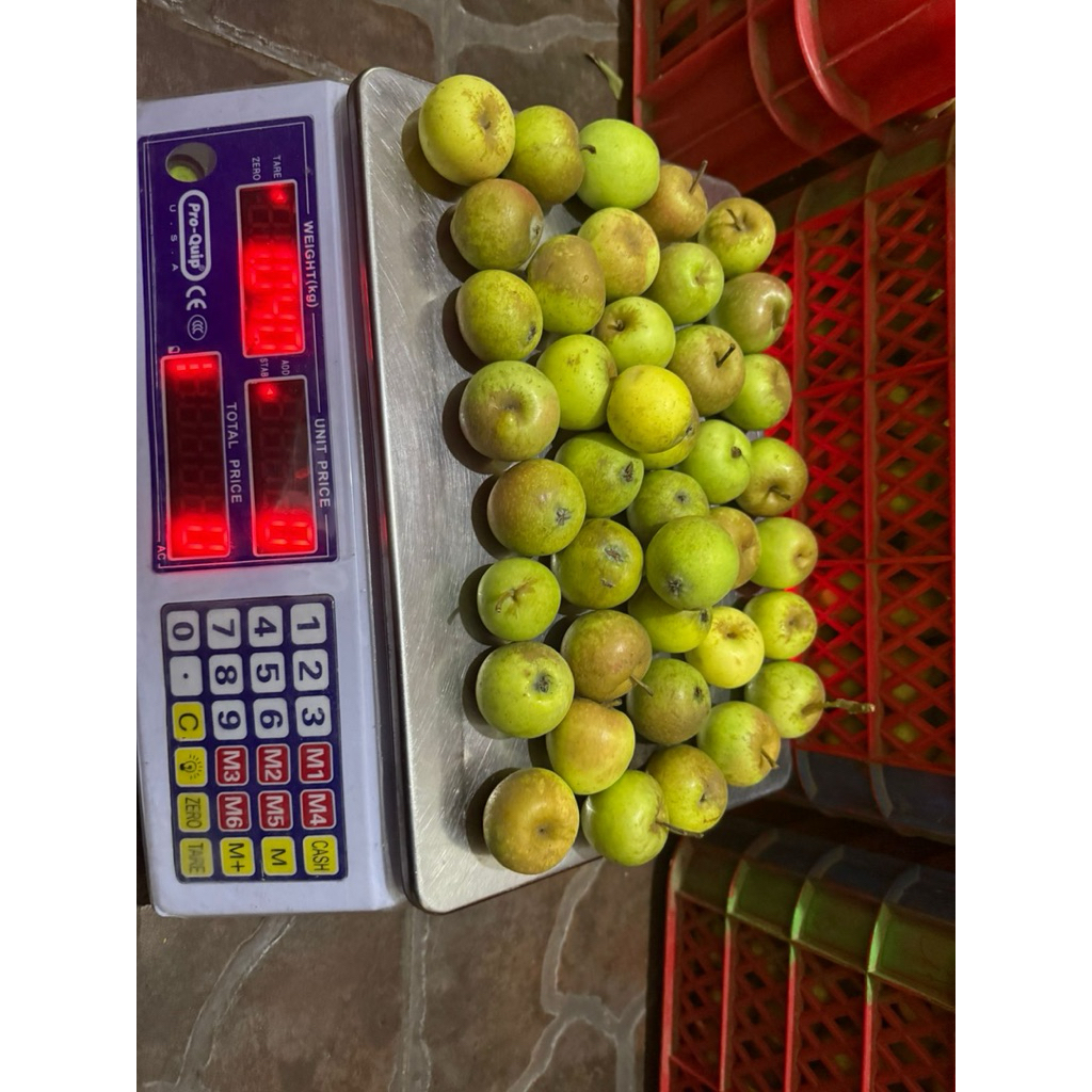 

apel manalagi ukuran 35-45 per kg