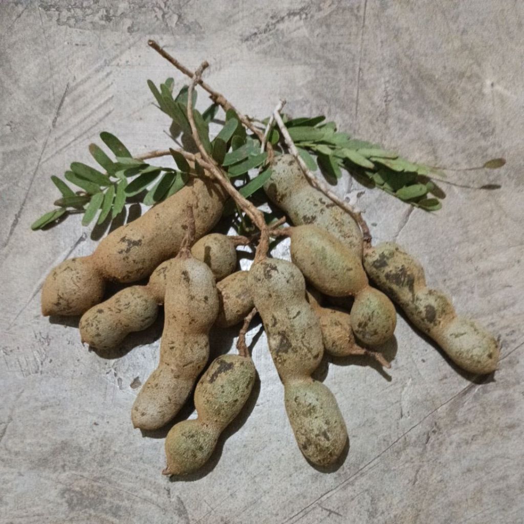 

asem cempalok 250 gram