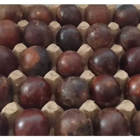 

Telur Asin Panggang Enak Gurih dan Masir 10 pcs per pack