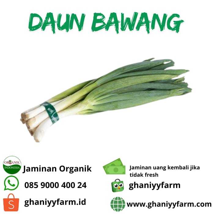 

Sayur Organik Daun Bawang Organik 200 Gram