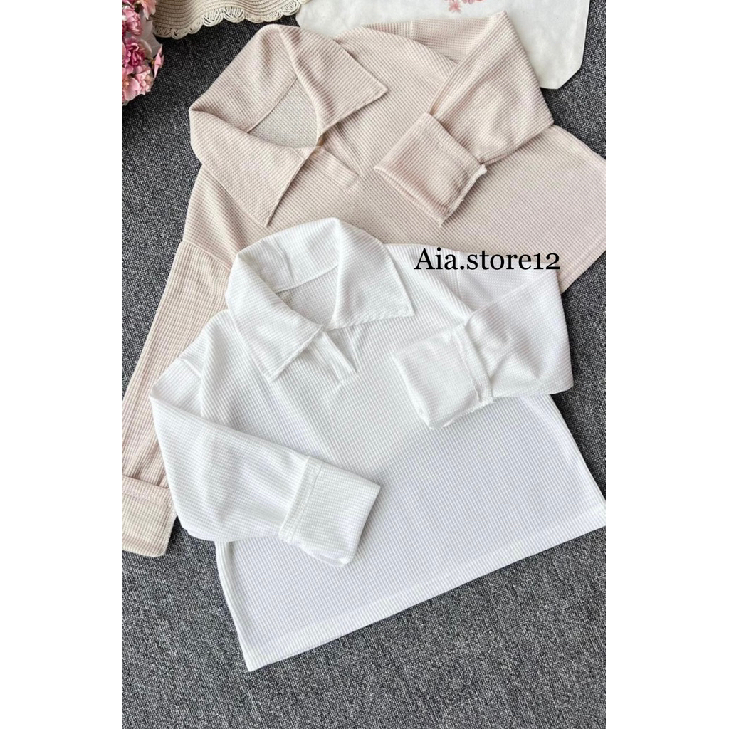 Polo Crop Top / Kaos Knitted Polo Shirt