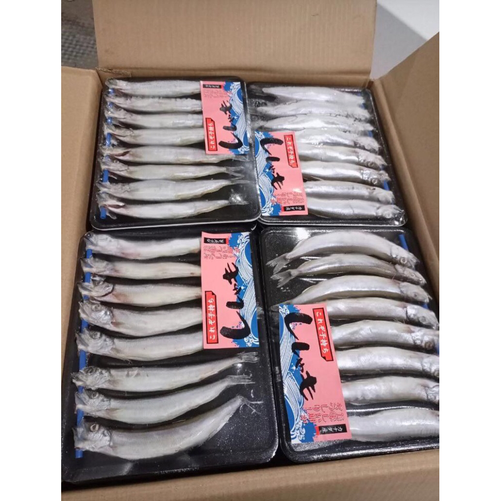 

Shishamo 150gr-170gr Femalle