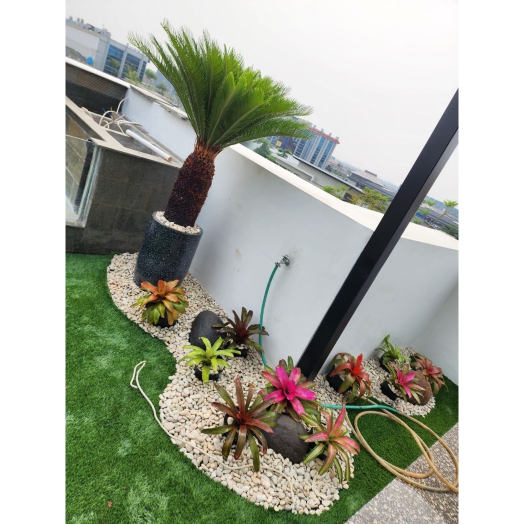 taman oudor/indor dan kolam koi minimalis kaca