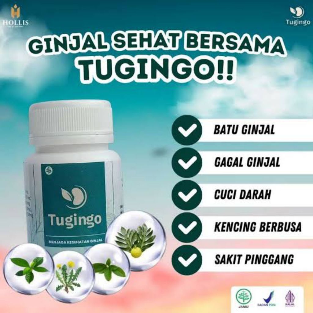 TUGINGO Official Store Obat Herbal Batu Ginjal 30 Kapsul Tugingo Original Obat Herbal Ginjal