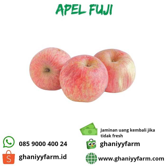 

Buah Apel fuji Segar 1kg