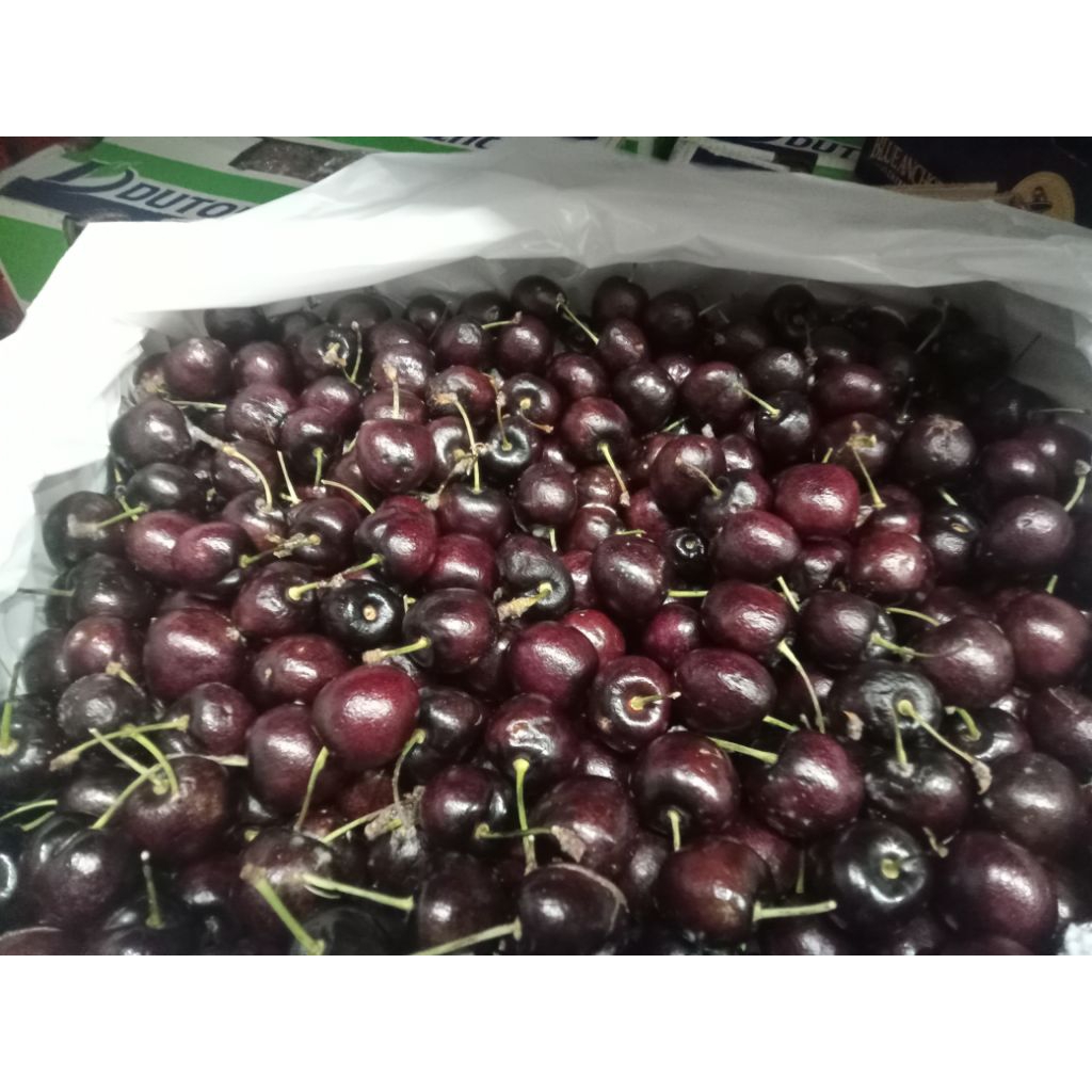 

BUAH CHERY IMPORT PERBIJI