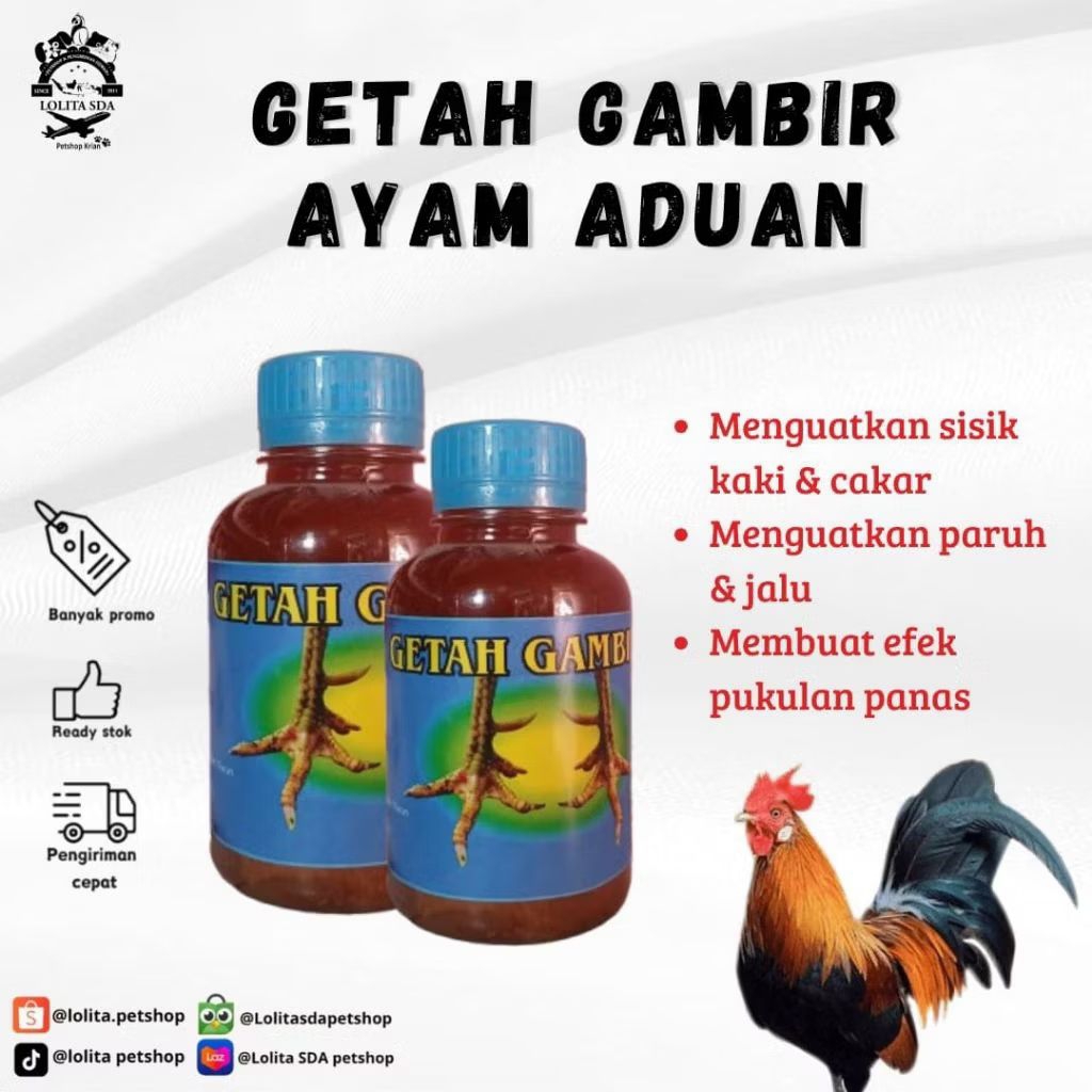 Getah Gambir Untuk Kaki Ayam