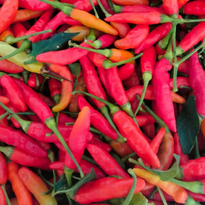 

500gr/1000gr cabe rawit merah fres ,kualitas premium dan harga terjangkau