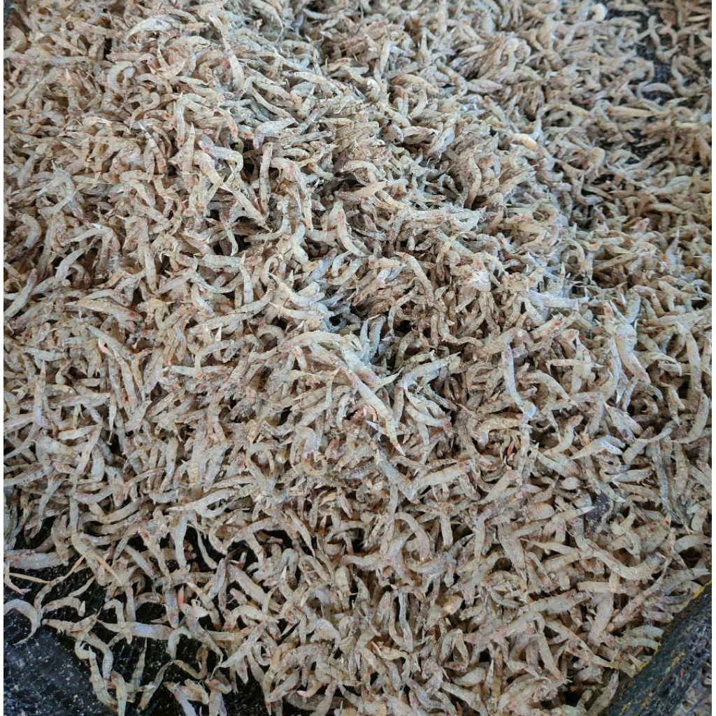 

Ikan Penja Kering / Ikan Seribu Kering / Duo / Duang / Nike Kering