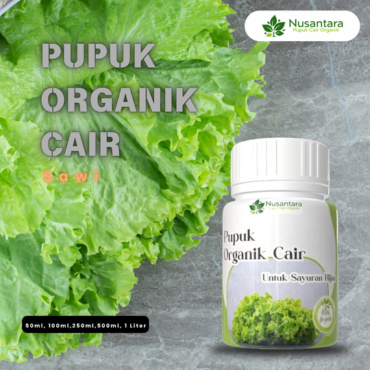 Nusantara Pupuk – Pupuk Cair Organik Sawi – Disemprot Rutin – Perawatan Tanaman