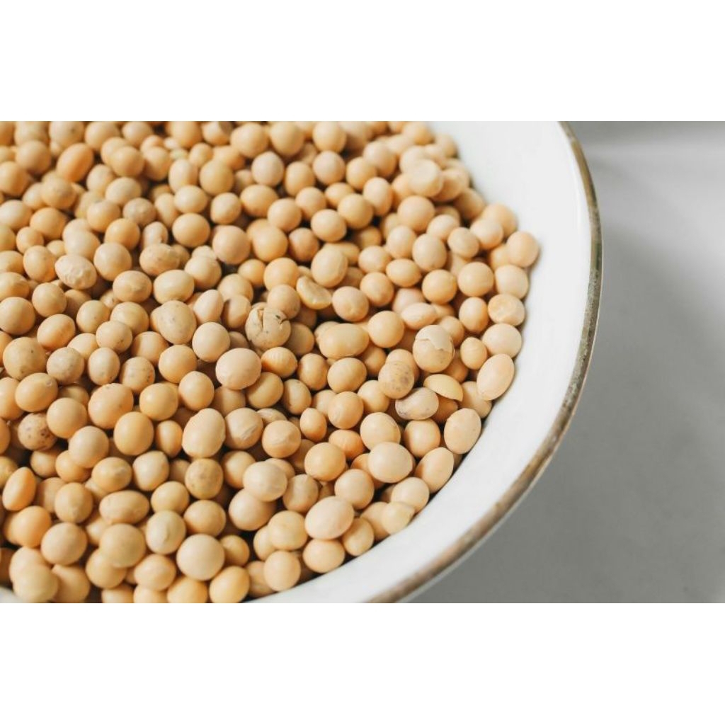 

kedelai premium import murah 5 KG