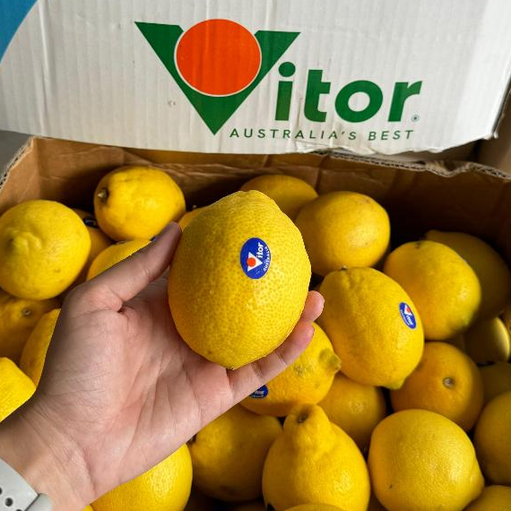 

Lemon Import (KG)