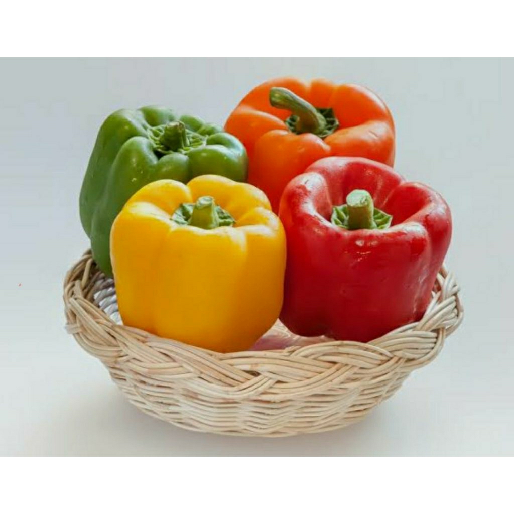

Paprika Merah l Paprika Hijau l Paprika Kuning 200-250 gram l Jbp_Fresh