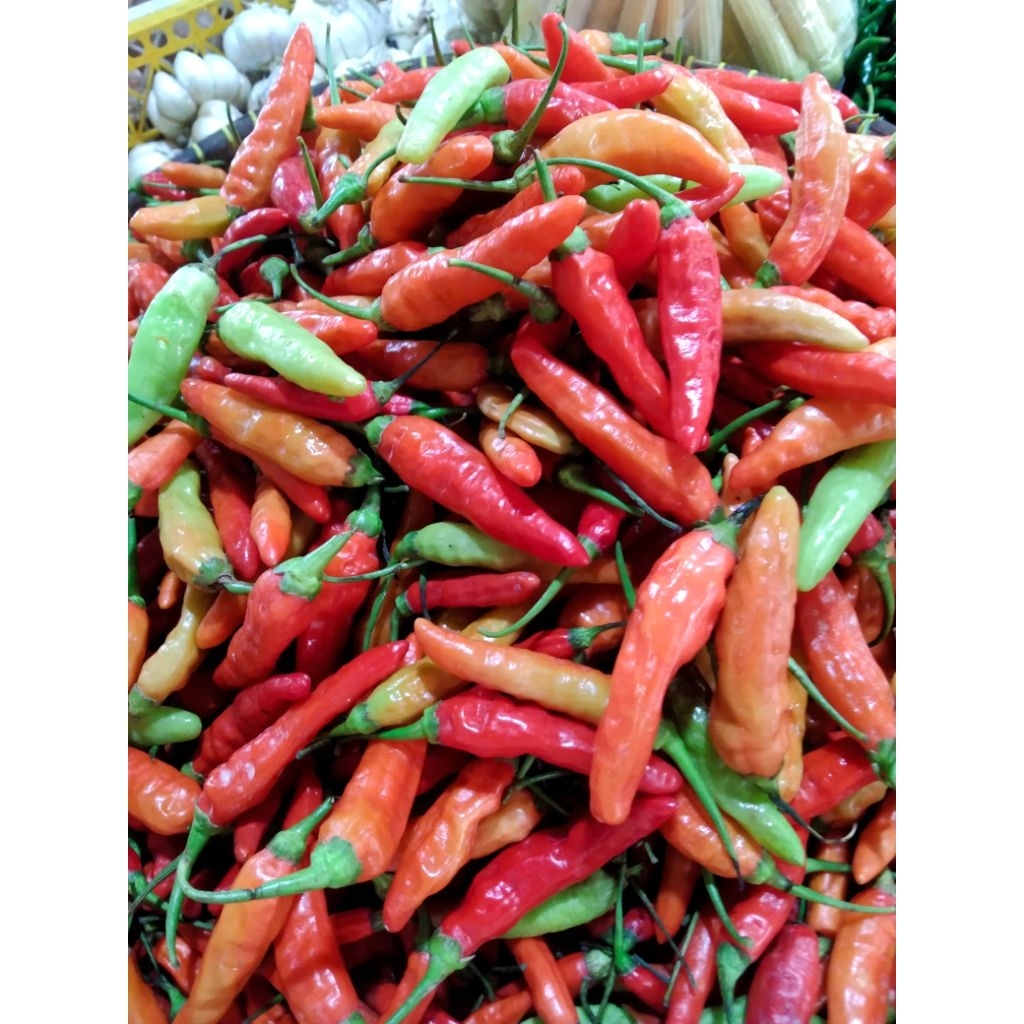 

cabe rawit merah