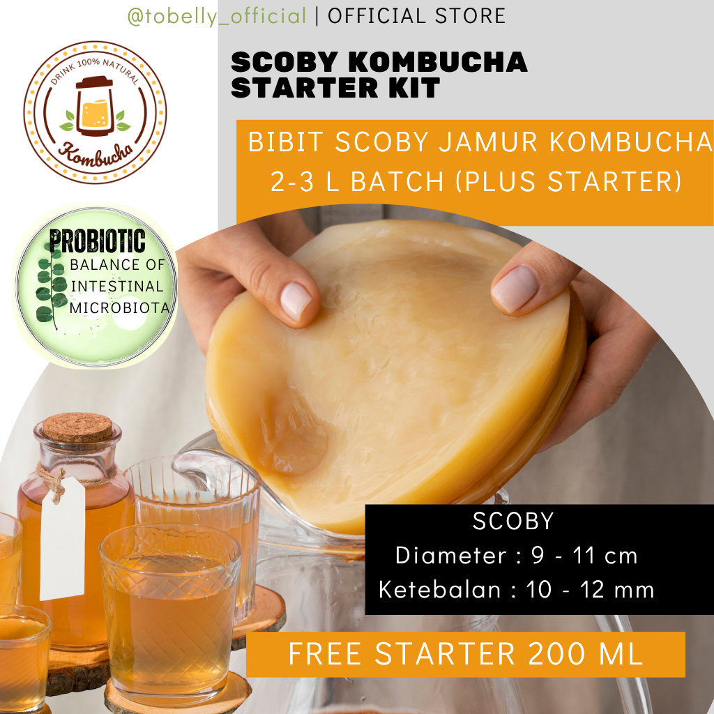 

Tobelly SCOBY Kombucha Starter Kit - Bibit Jamur Kombucha Otentik