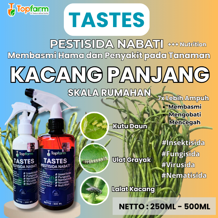 Obat Hama Ulat Kacang Panjang/ Pestisida Nabati/ Pestisida Nabati Untuk Kacang Panjang/ Obat Semprot