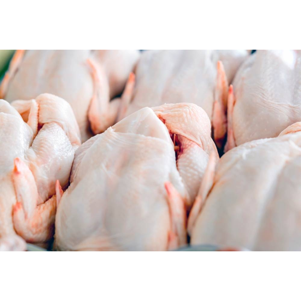 

Ayam utuh berat setelah dipotong sd 1.2KG Gratis Ongkir Instan Pengiriman Setiap Hari