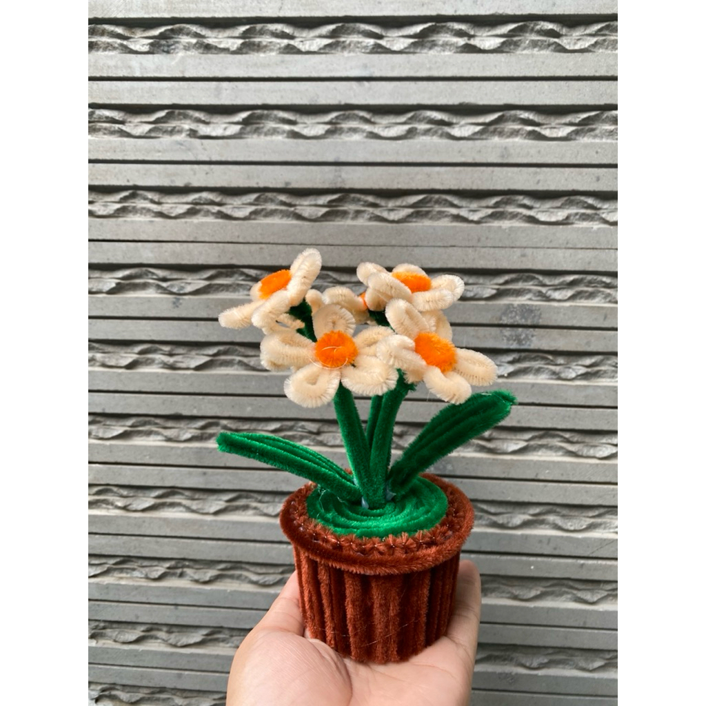 Mini Pot Bunga Daisy / Bunga Pot Mini Lucu