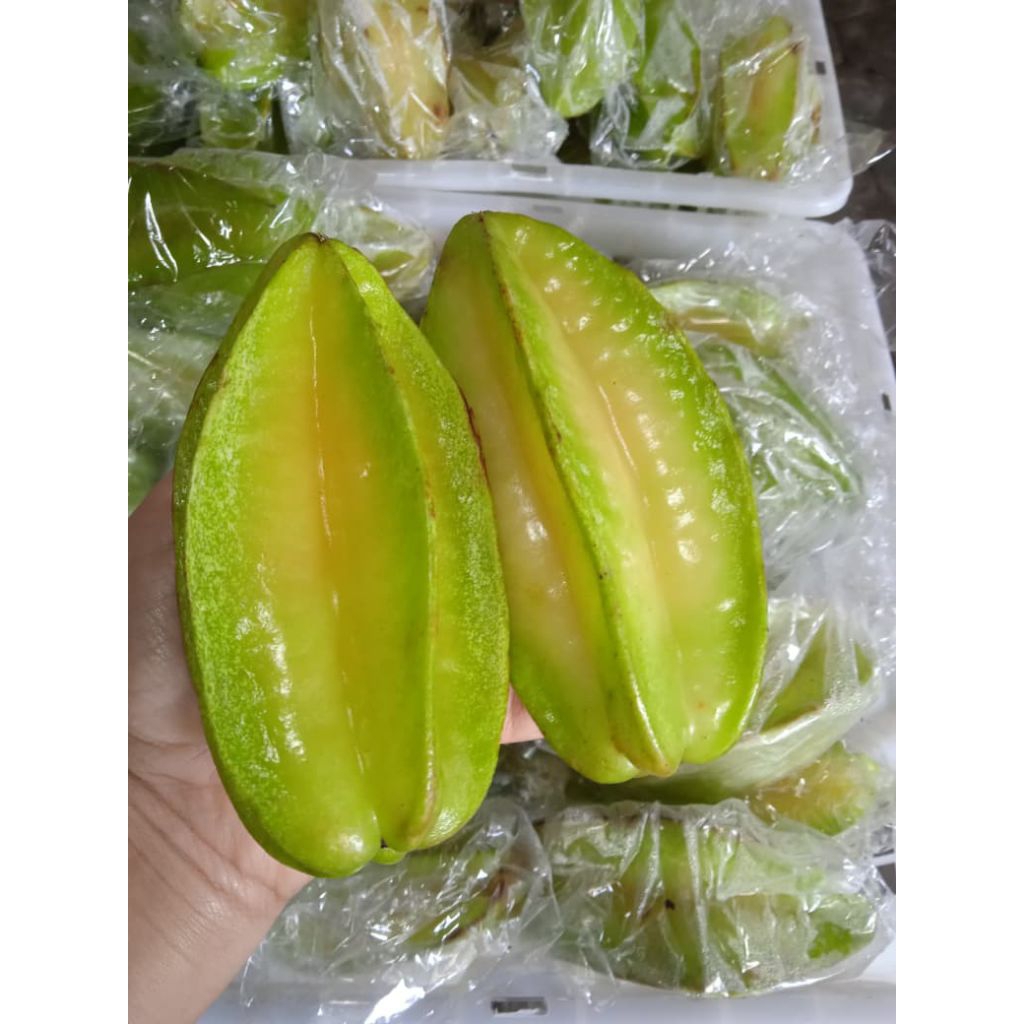 

BELIMBING BANGKOK / BELIMBING FRESH