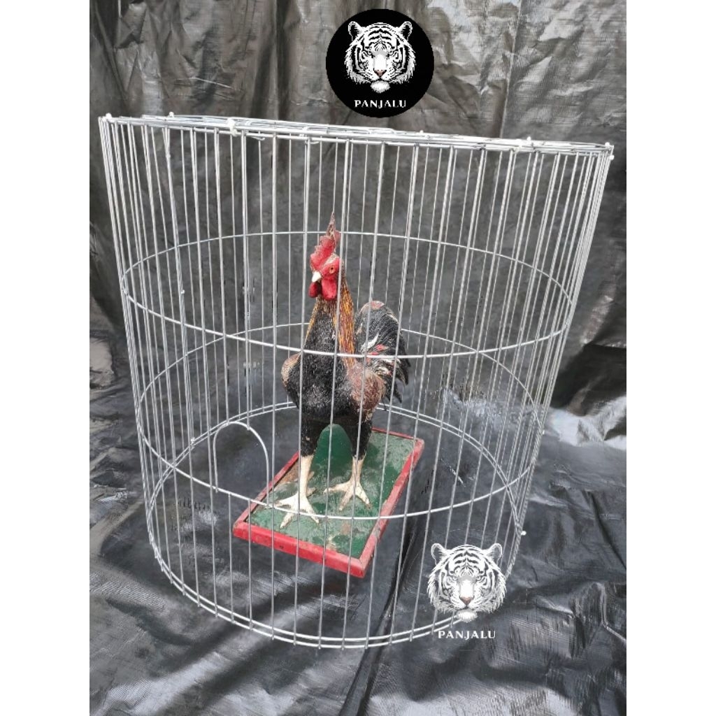 Kandang Ayam Bulat / Kurungan ayam bundar galvanis besi anti karat