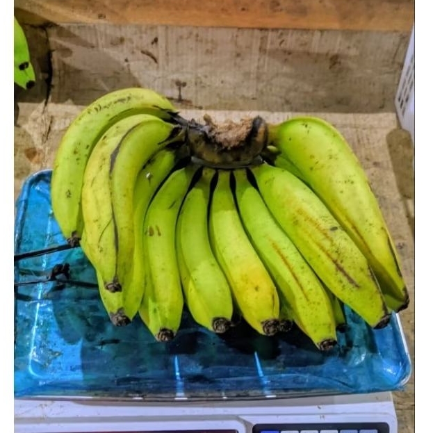 

Pisang Ambon Putih
