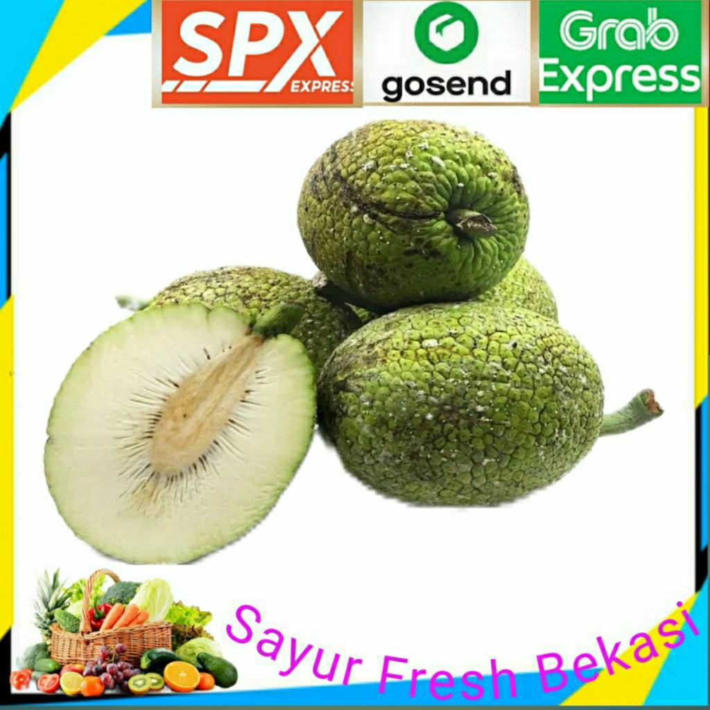 

Sukun/Buah Sukun (PerBuah).
