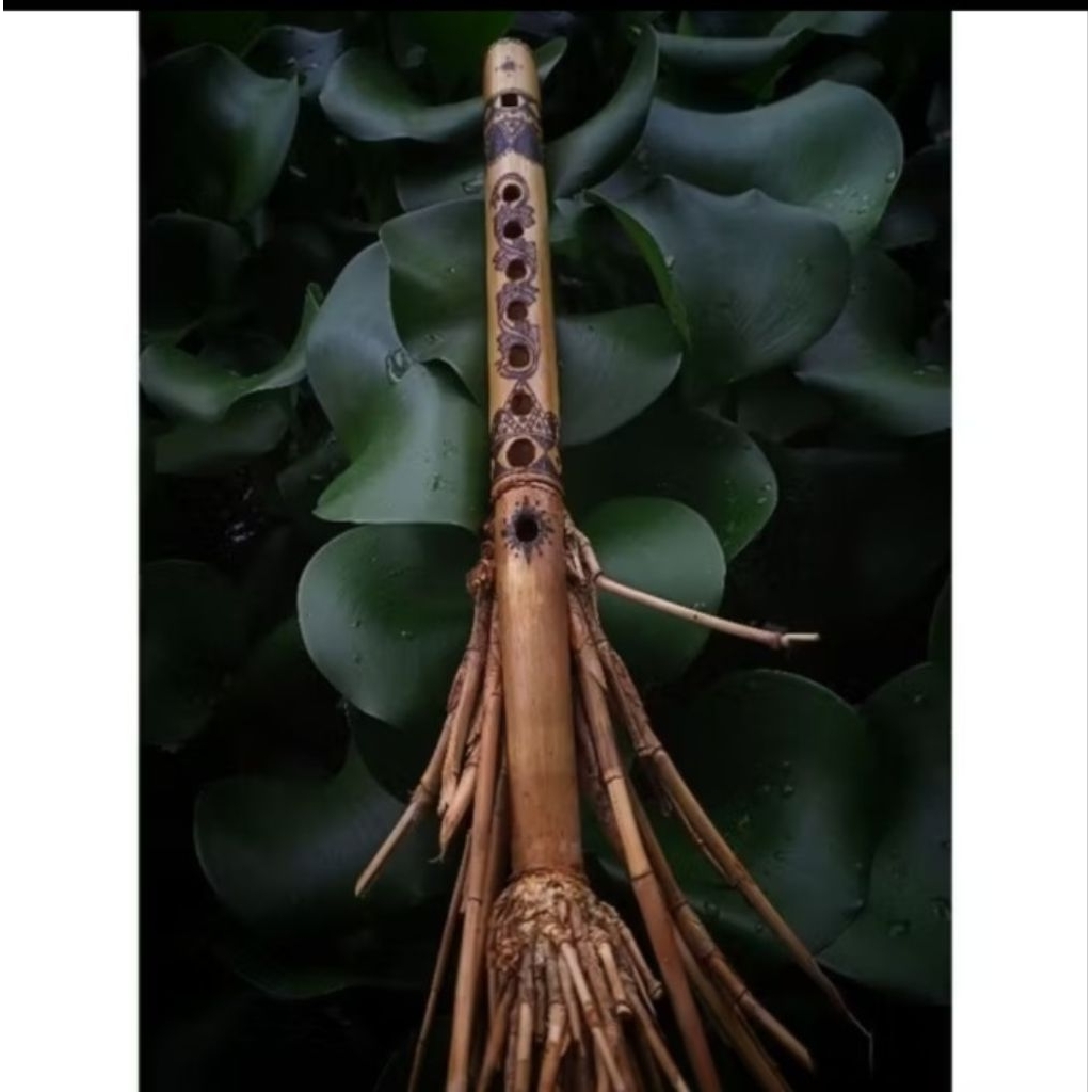 bansi dengan bambu unik dan langka