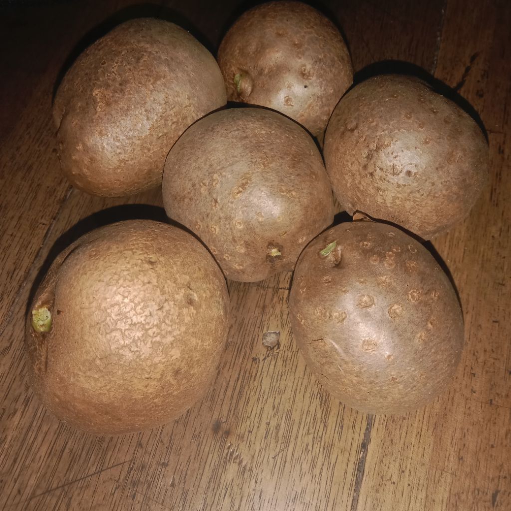 

Kentang Gantung segar per buah