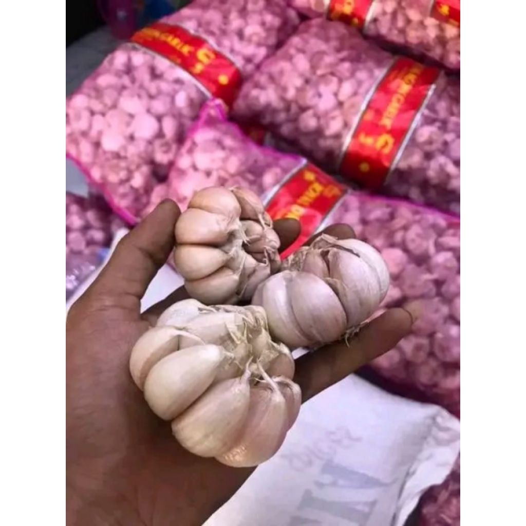 

bawang putih kualitas super 1kg harga murmer