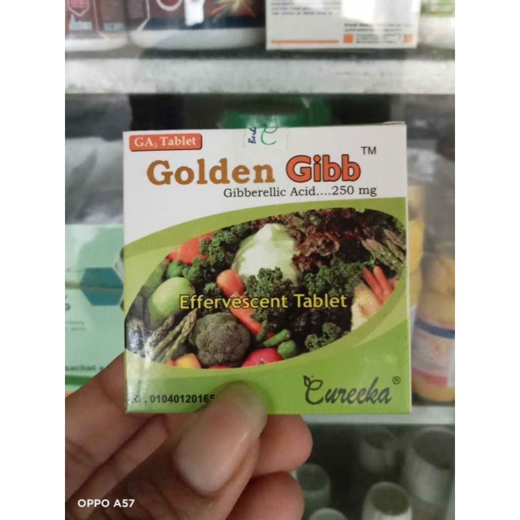 GOLDEN GIBB GA3 ( BISA COD) 25G ZPT